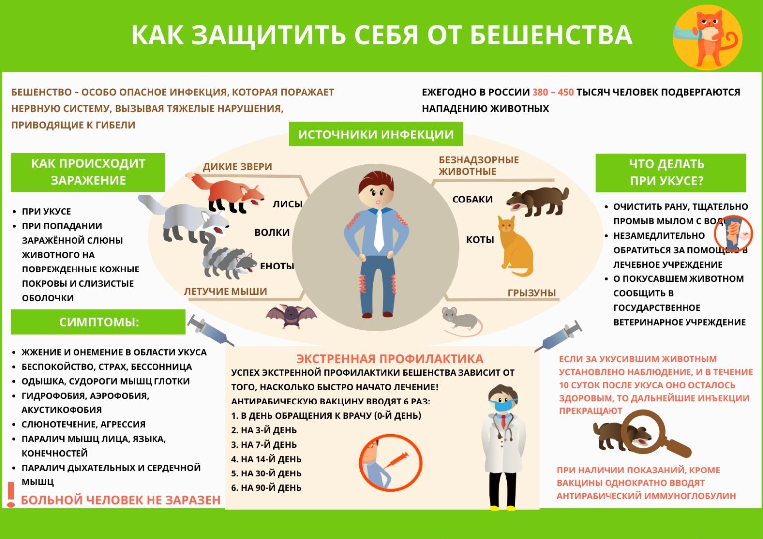 Профилактика бешенства приказ